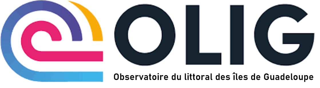 Site satellite BRGM OLIG