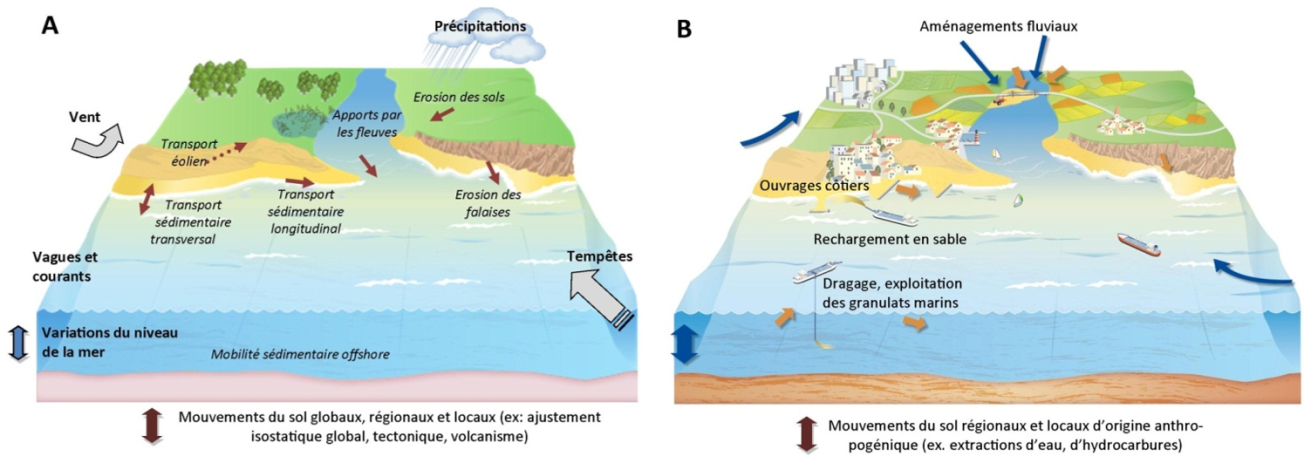 Processus impliqués dans le transport des sédiments en zone côtière et l’évolution du trait de côte en l’absence d’interventions humaines (a) et sous l’influence des interventions humaines (b).
Cazenave et Le Cozannet, 2013
Processus impliqués dans le transport des sédiments en zone côtière