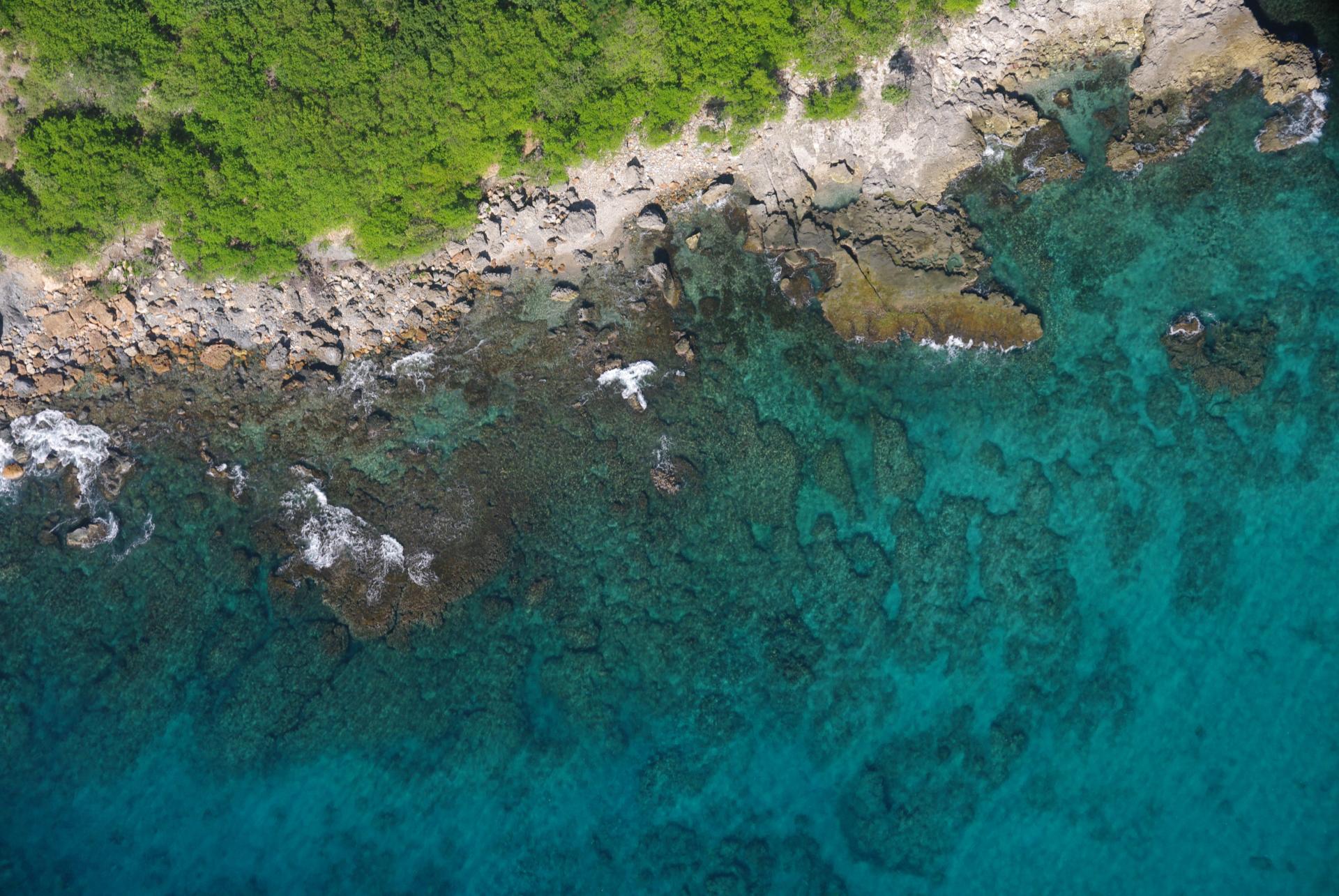 Côte basse rocheuse de la côte sous le vent de la Basse-Terre