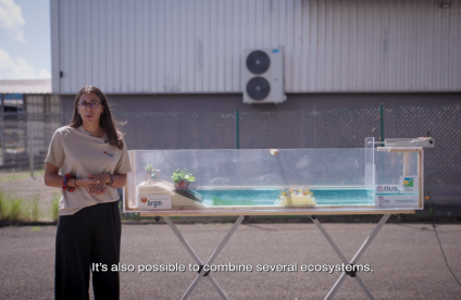 Aperçu du canal à houle