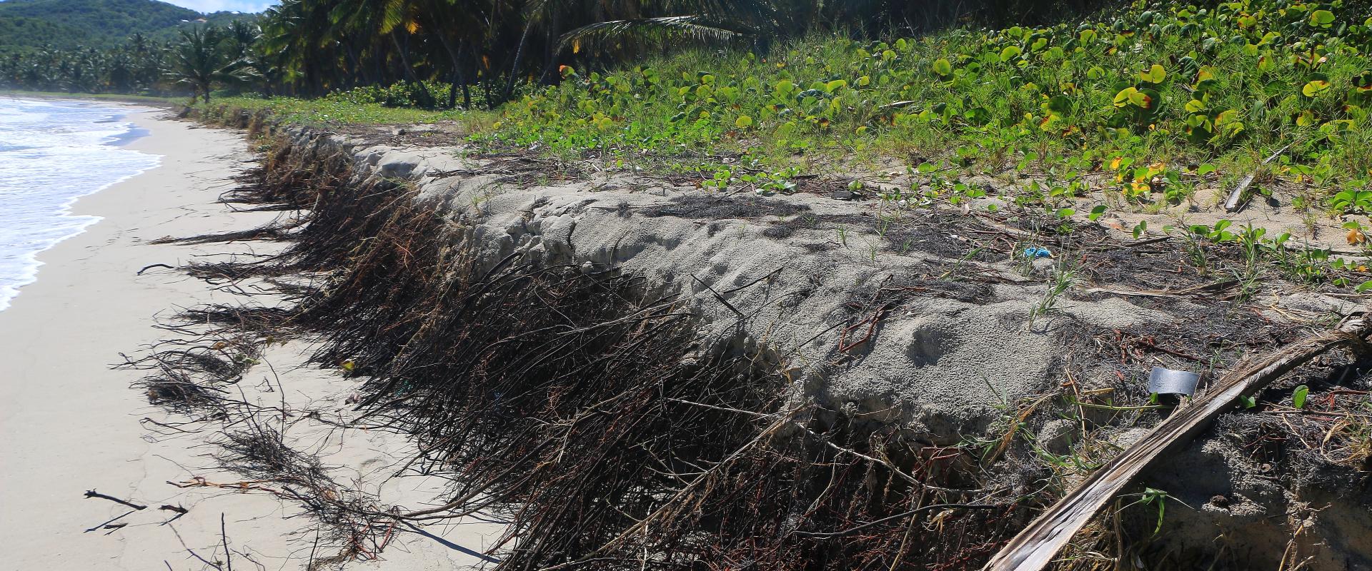 plage Macabou erosion