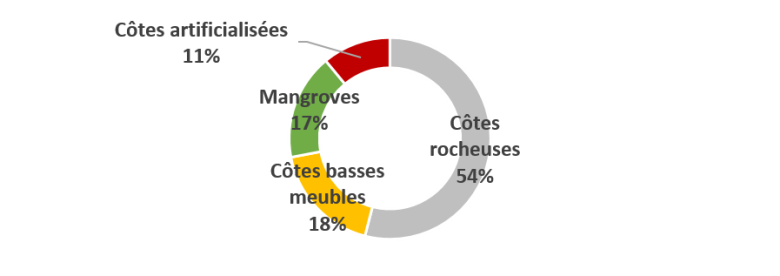 Répartition du linéaire côtier par type de morphologie